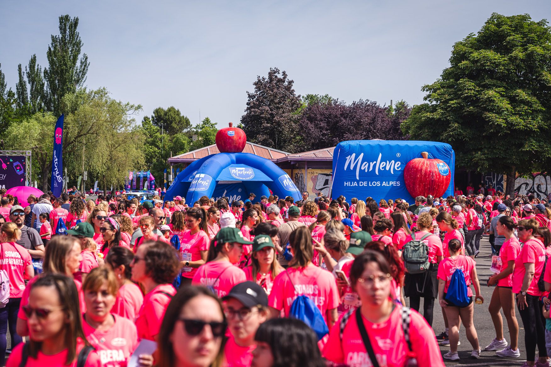 Las mejores fotos de la Carrera de la Mujer Central Lechera Asturiana de Vitoria Gasteiz 2026.  148868