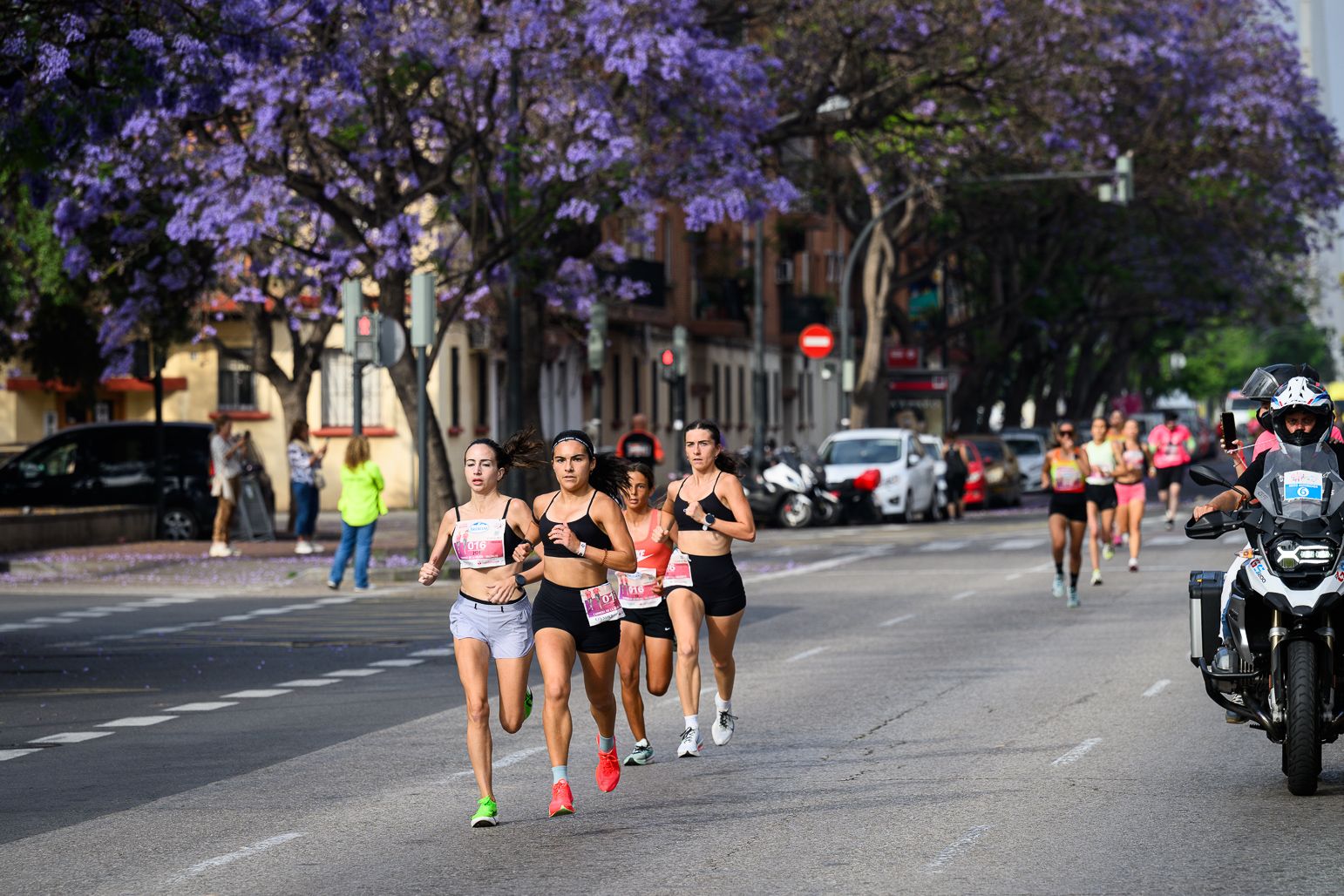 Más fotos de la Carrera de la Mujer de Valencia 2026. 85541