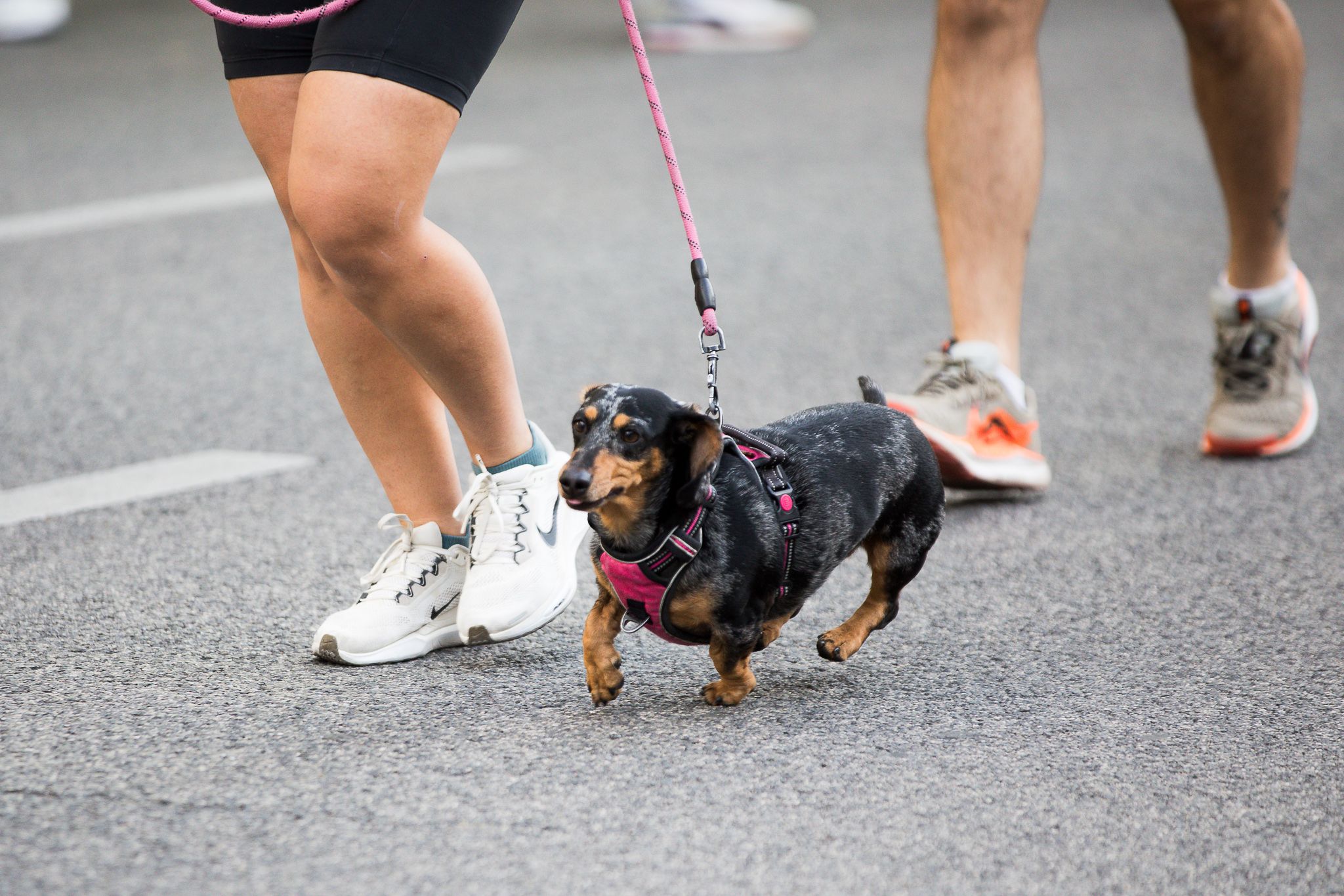 Las mejores fotos de la III Carrera Madrid con la ELA. LateMiLente 162