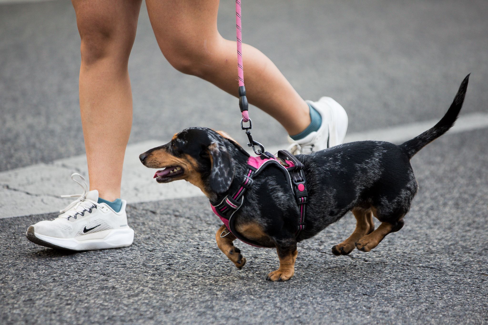 Las mejores fotos de la III Carrera Madrid con la ELA. LateMiLente 163