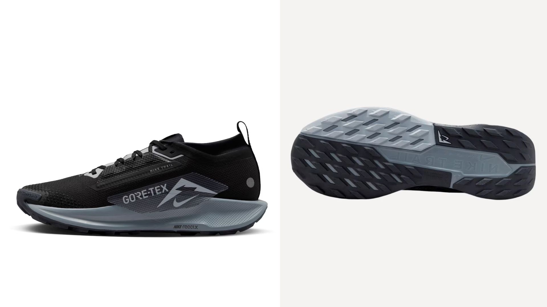 NIKE PEGASUS TRAIL 5 GTX.