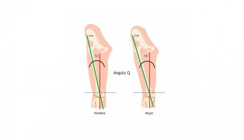 ▷Conoce por qué las mujeres tienen más lesiones de rodilla