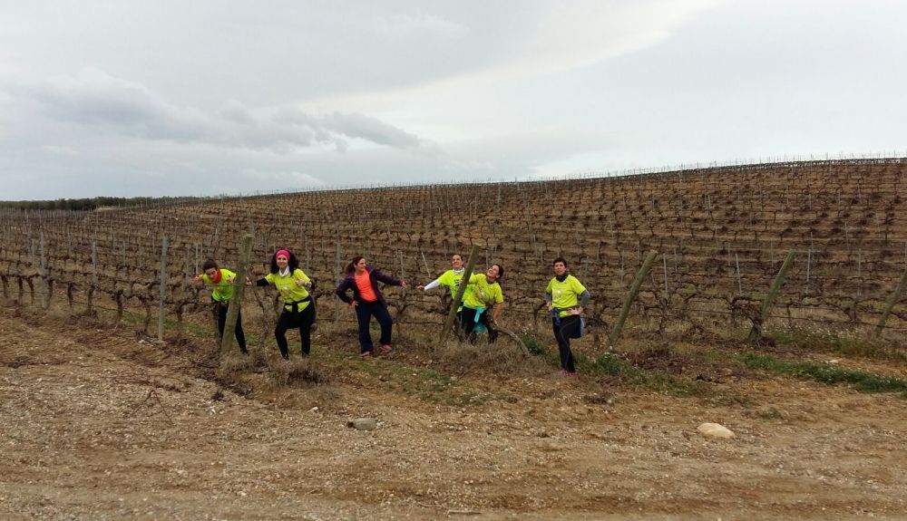 Carrera Run4viñas