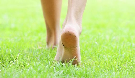 Una rutina fantástica: andar o trotar descalzos sobre hierba 10-15 minutos antes de entrenar. Una rutina fantástica: andar o trotar descalzos sobre hierba 10-15 minutos antes de entrenar.