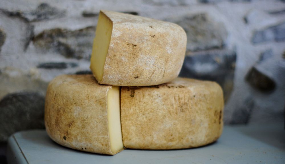 Queso. Queso.