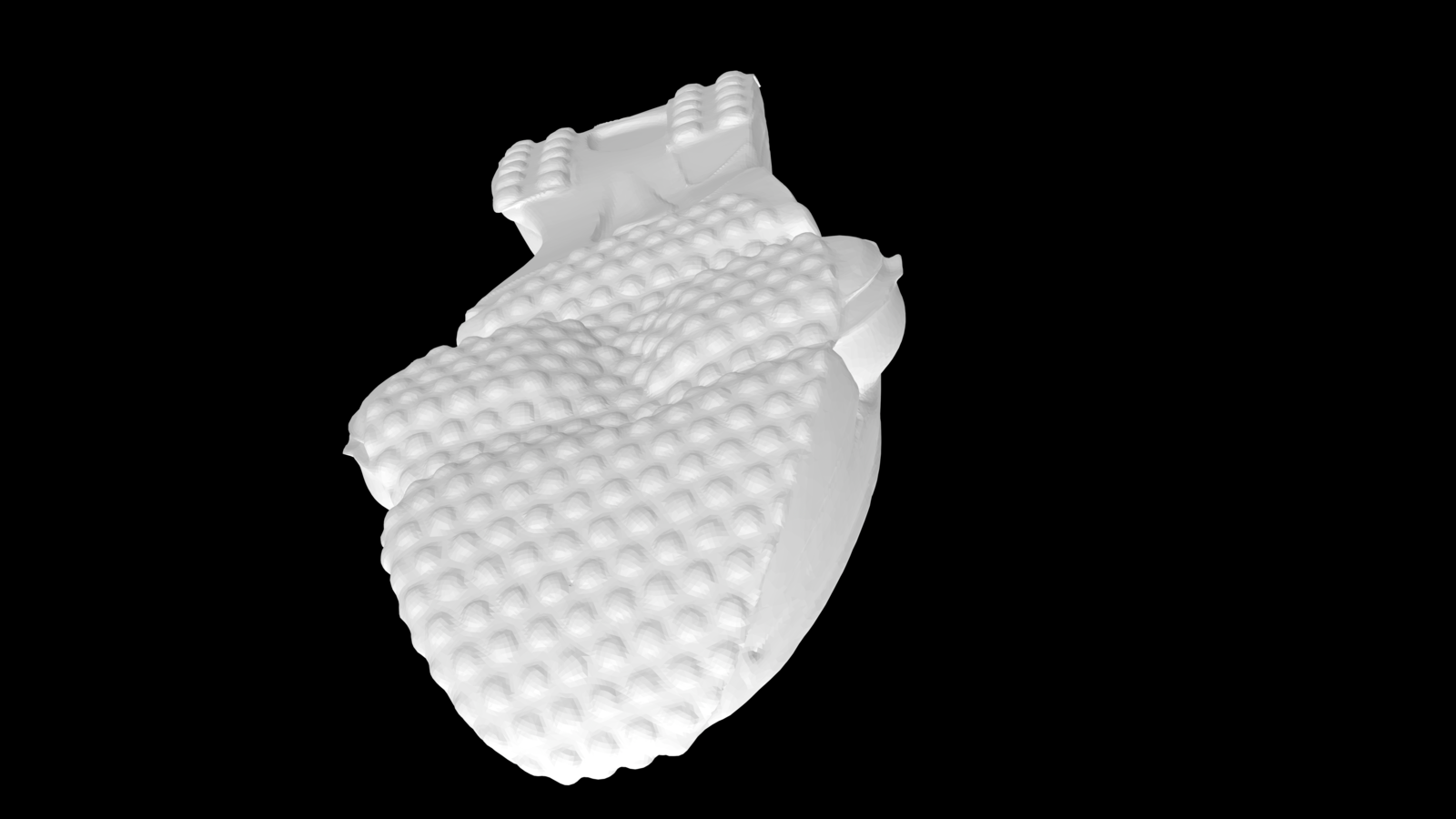 Se escaneó el prototipo original