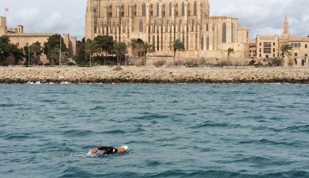 Con la catedral de Palma de Mallorca al fondo... no es mal lugar para nadar.