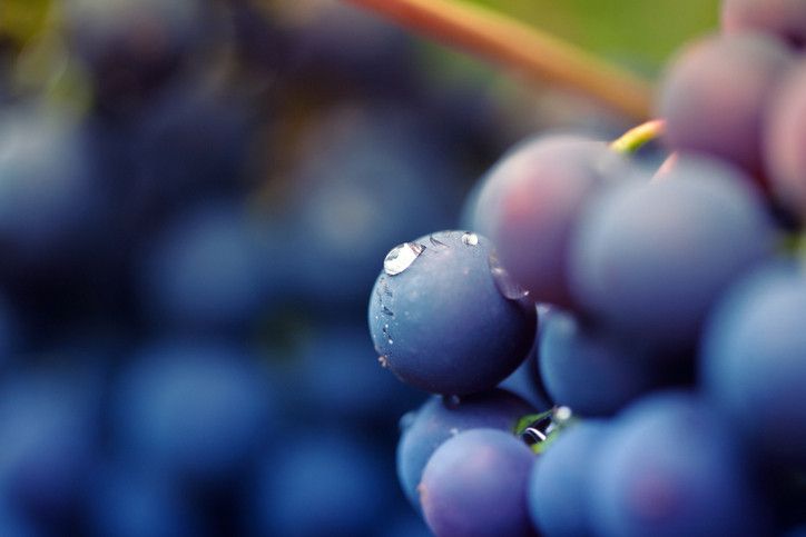 Nutrición en el running: las uvas