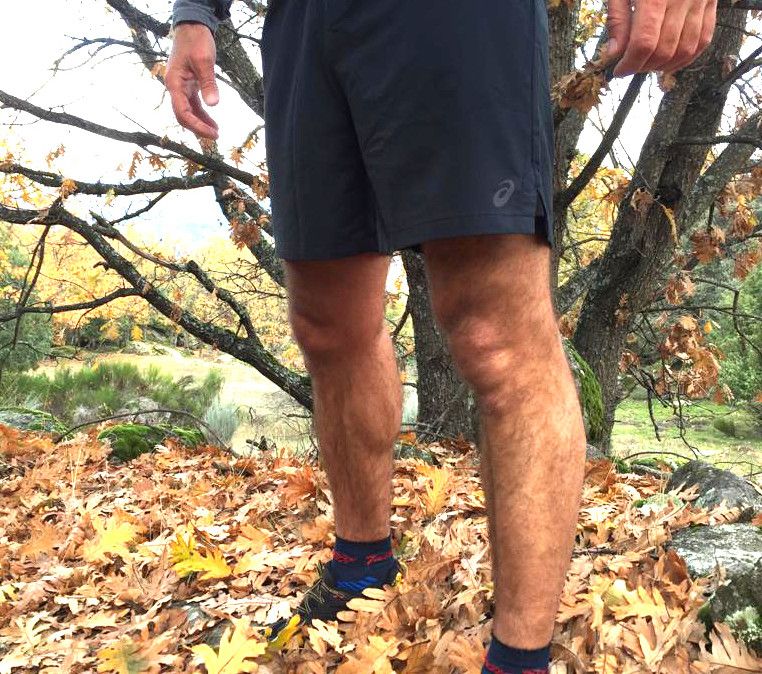 Prueba Asics 2-1 7" Shorts