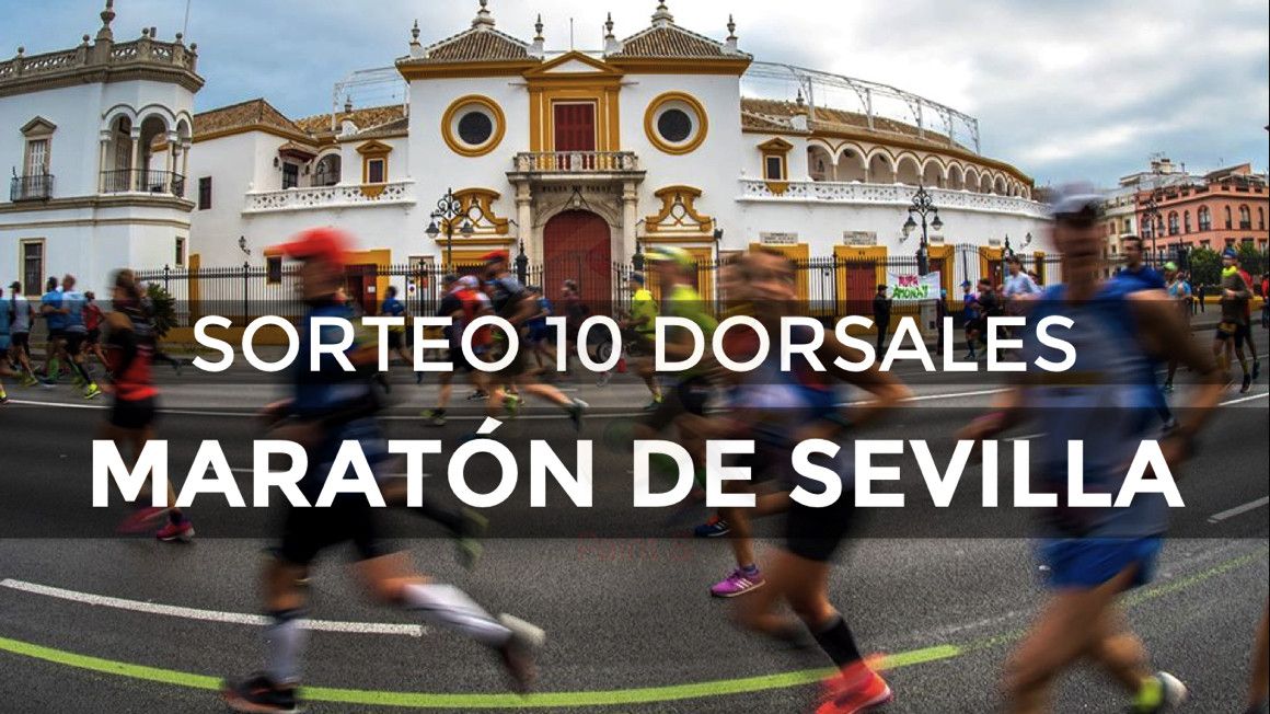 Sorteamos diez dorsales para el Zurich Maratón de Sevilla | soycorredor.es