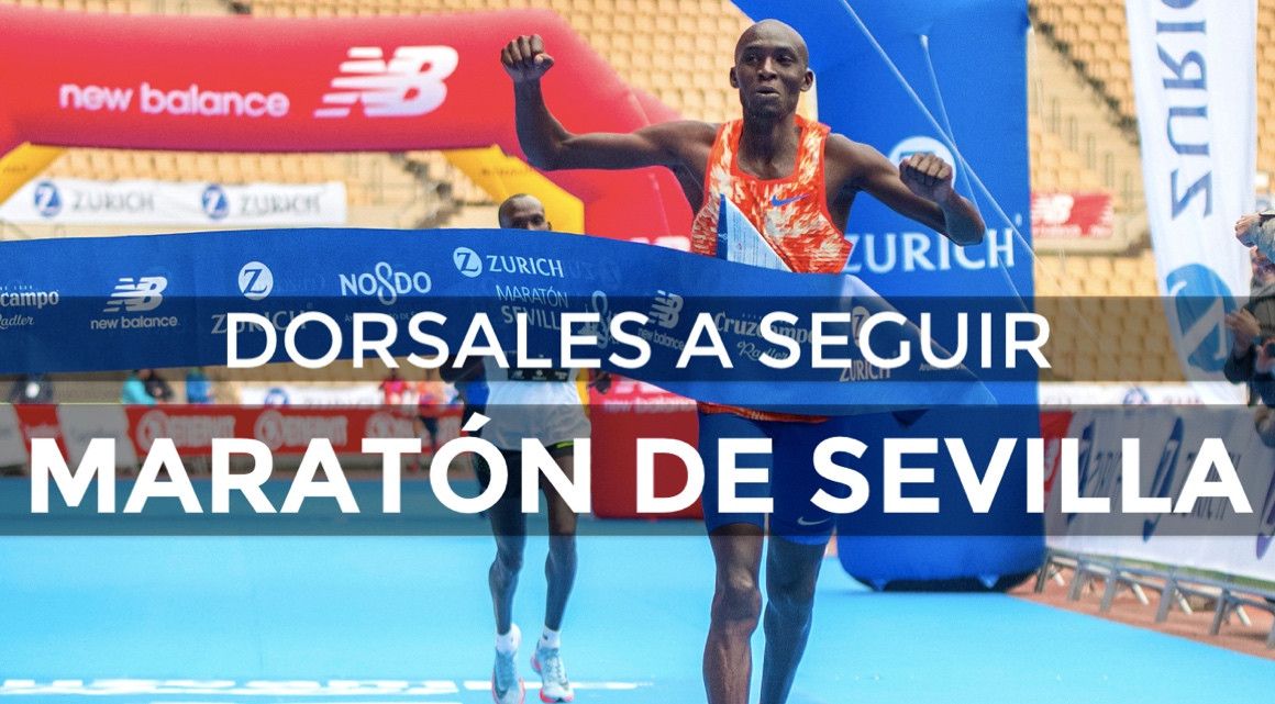 Dorsales élite del Zurich Maratón de Sevilla