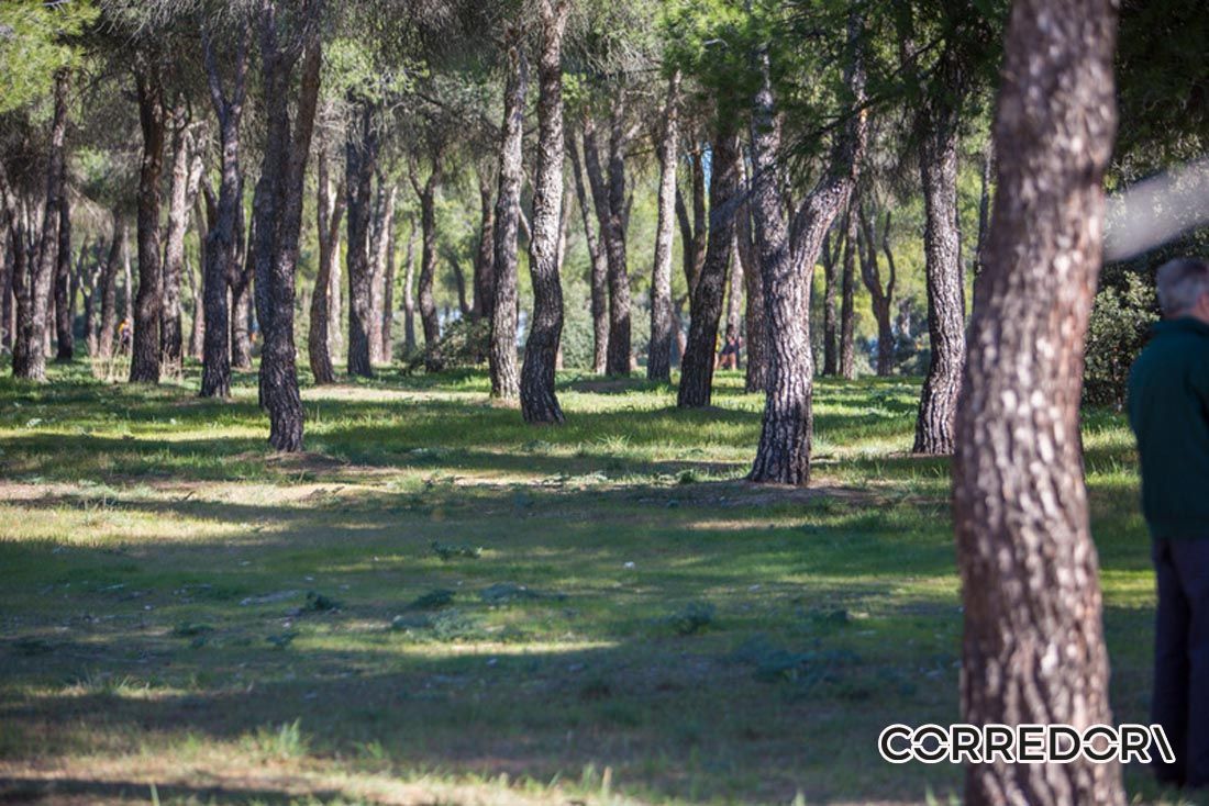 Trail de la Mujer 12