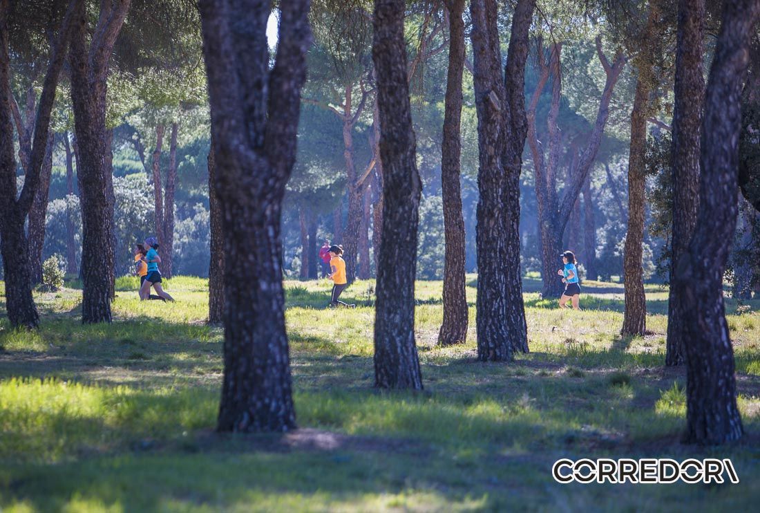 Trail de la Mujer 21