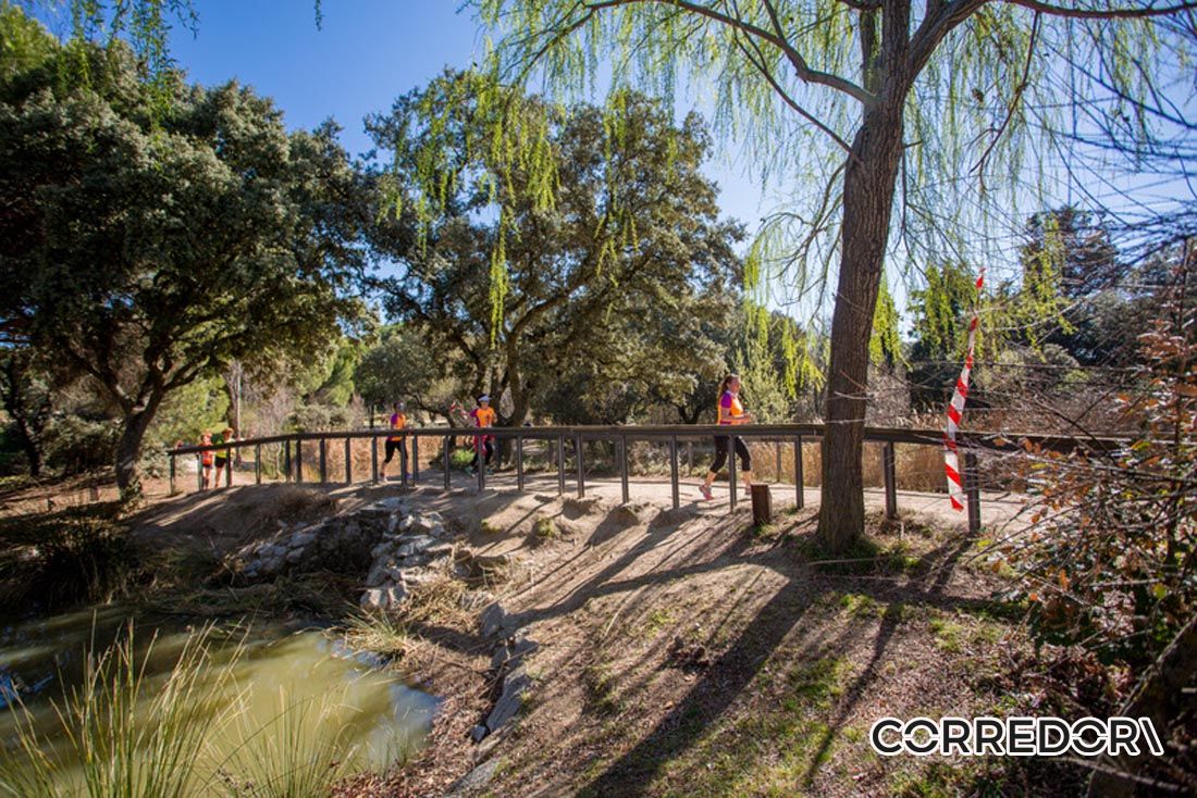 Trail de la Mujer 26