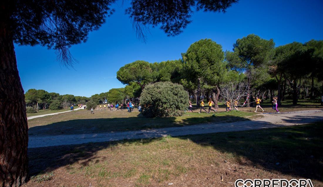 Trail de la Mujer 30