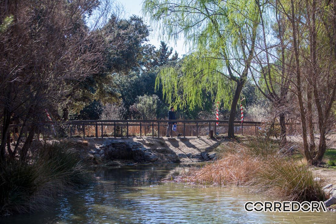 Trail de la Mujer 31