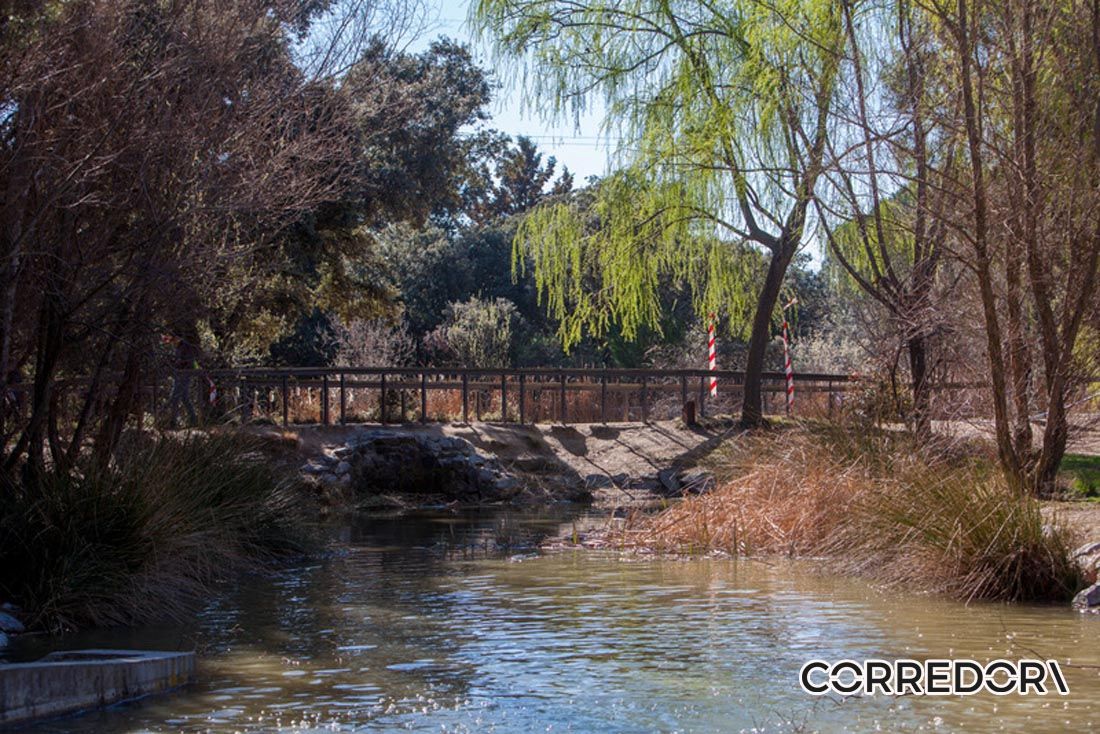 Trail de la Mujer 31