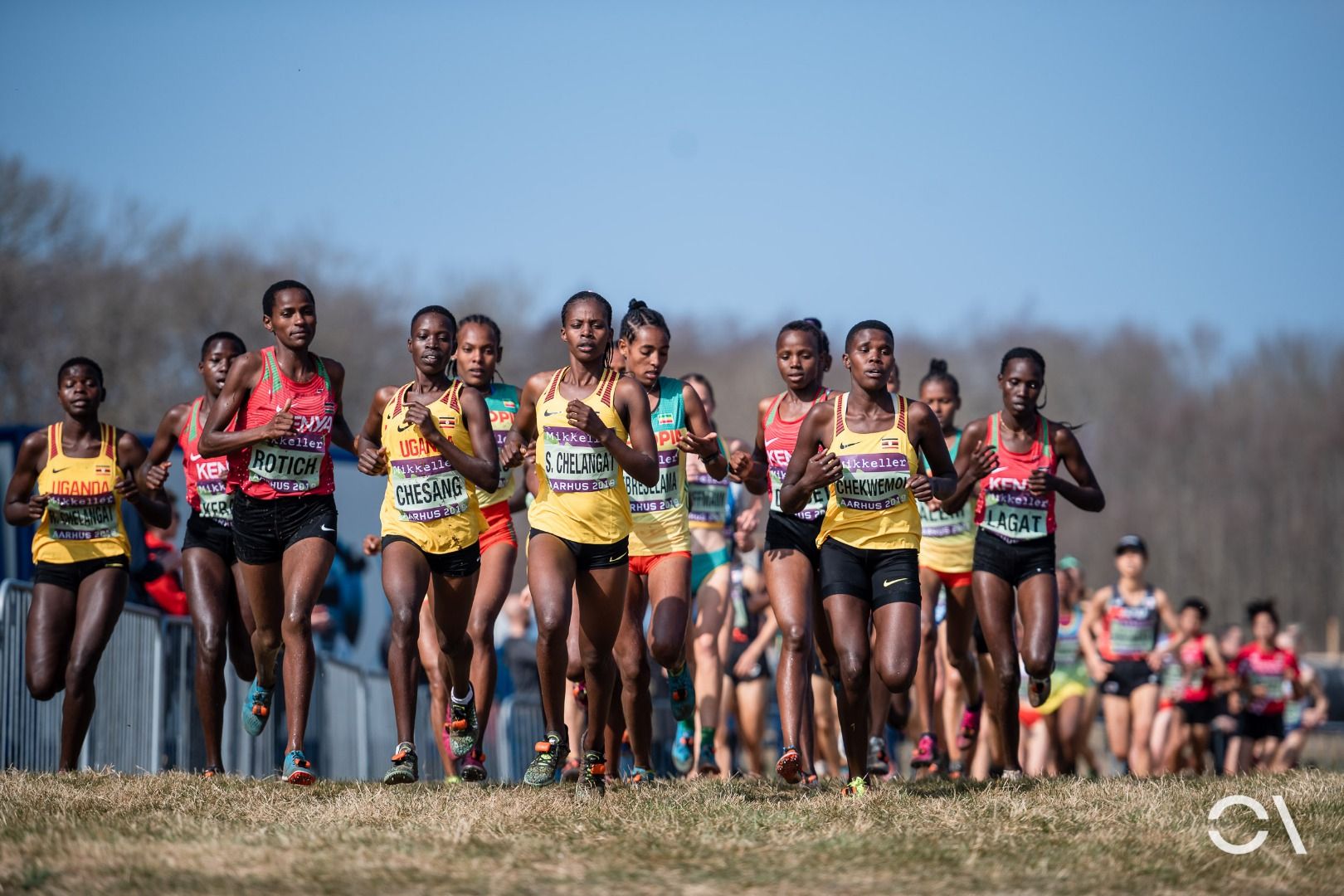 Campeonato del Mundo de Cross Aarhus 2019 (RELEVO MIXTO Y SUB 20)