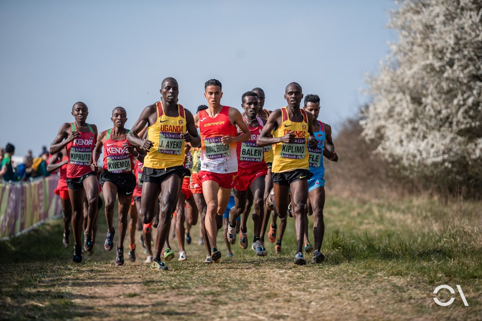 Campeonato del Mundo de Cross Aarhus 2019 (CARRERAS SENIOR)