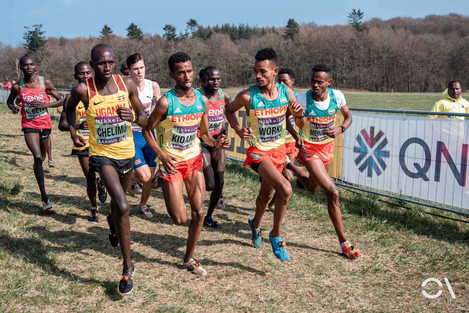 Campeonato del Mundo de Cross Aarhus 2019 (RELEVO MIXTO Y SUB 20)