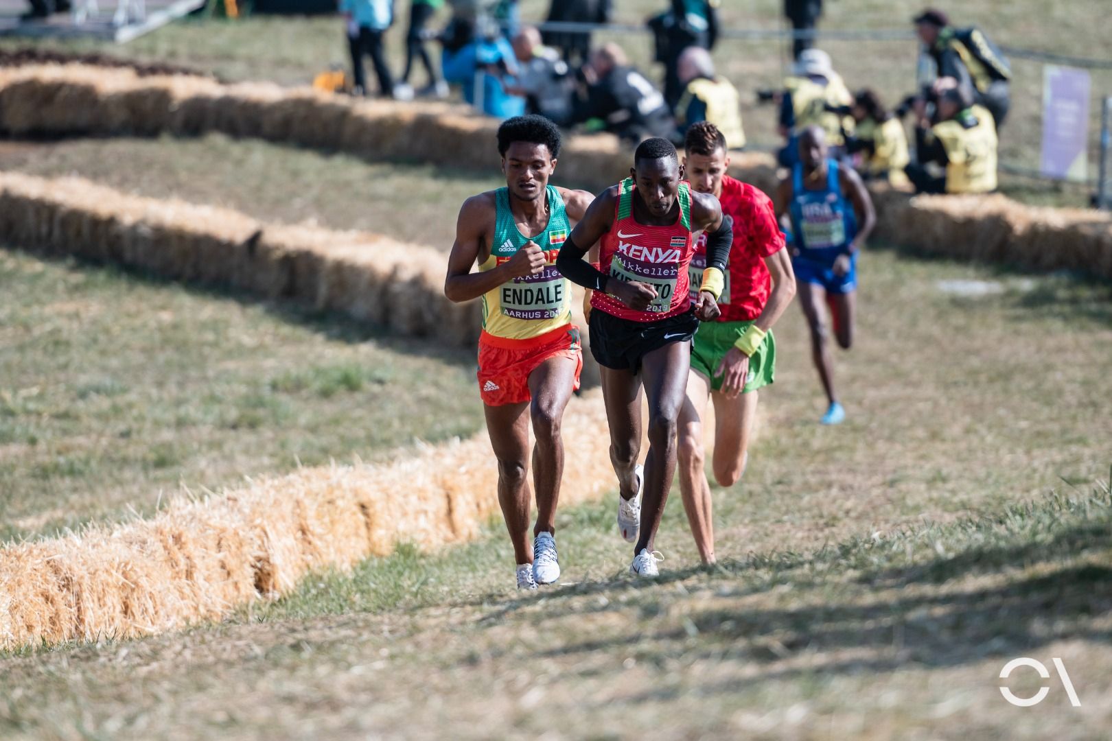 Campeonato del Mundo de Cross Aarhus 2019 (RELEVO MIXTO Y SUB 20)