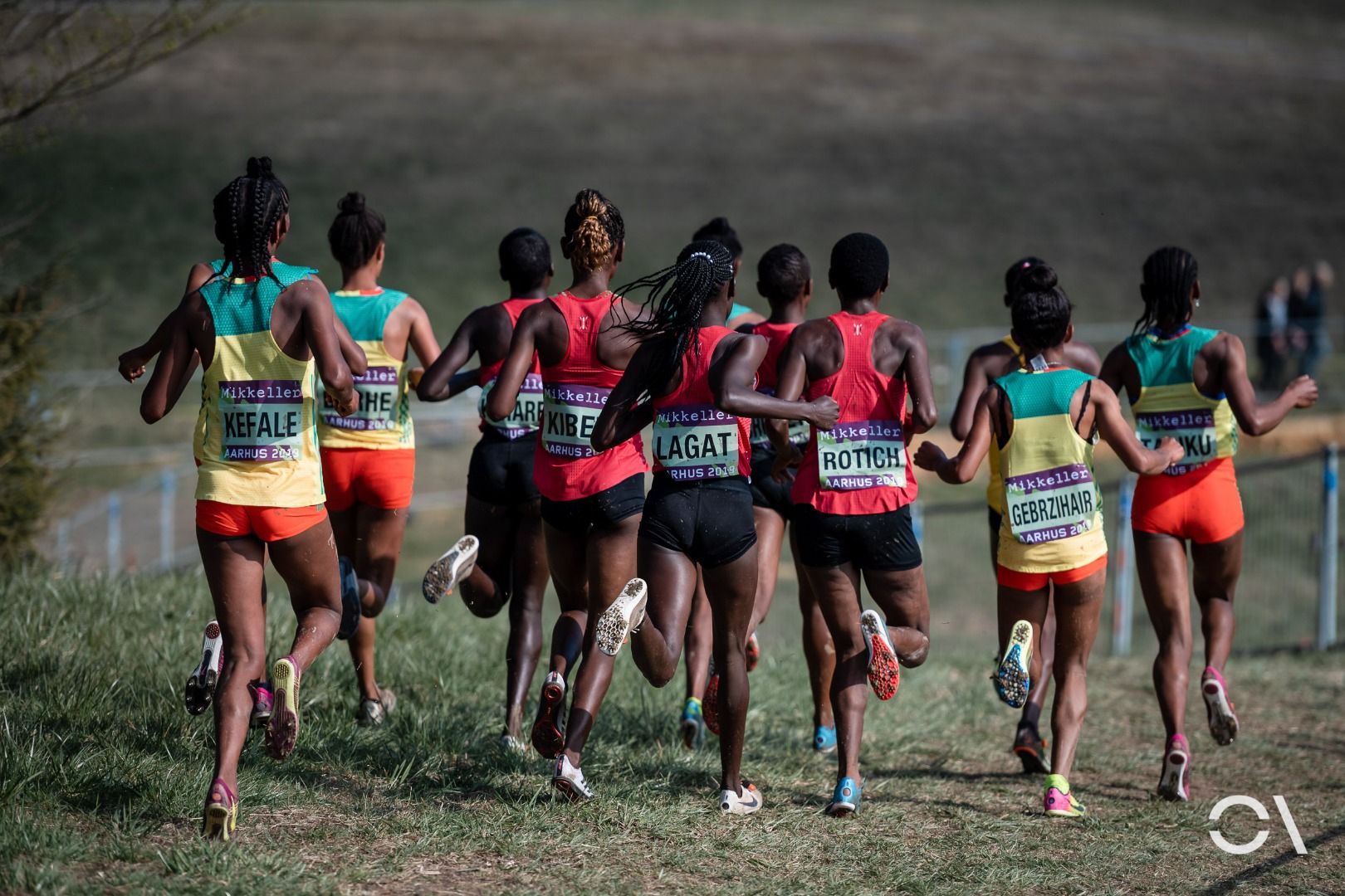 Campeonato del Mundo de Cross Aarhus 2019 (RELEVO MIXTO Y SUB 20)