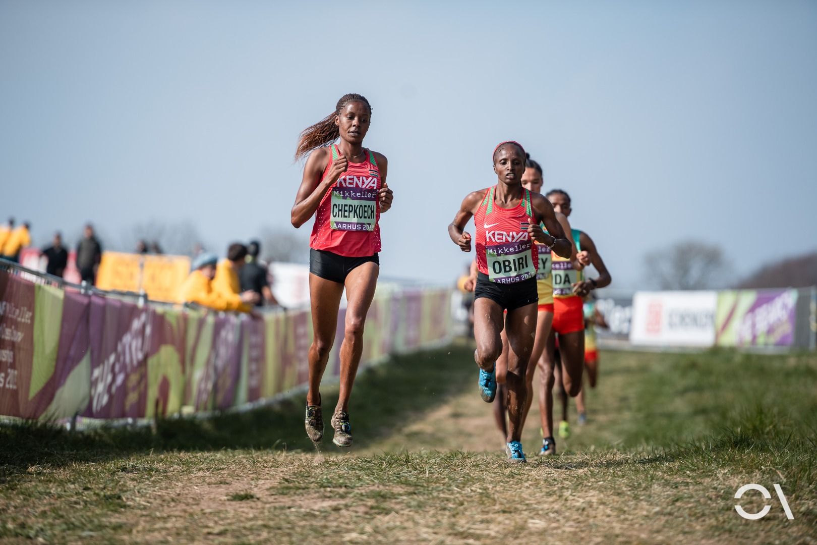 Campeonato del Mundo de Cross Aarhus 2019 (CARRERAS SENIOR)