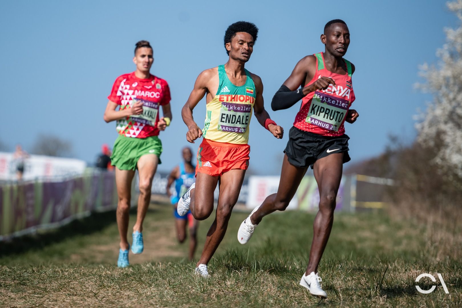 Campeonato del Mundo de Cross Aarhus 2019 (RELEVO MIXTO Y SUB 20)