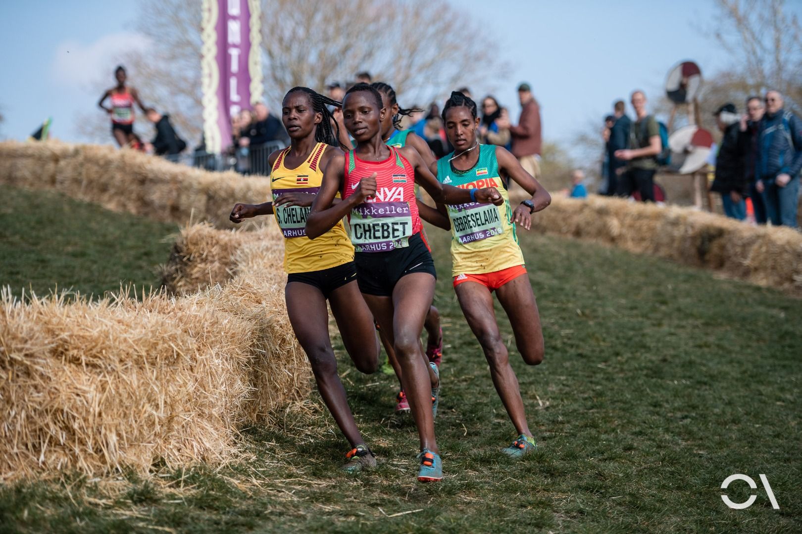 Campeonato del Mundo de Cross Aarhus 2019 (RELEVO MIXTO Y SUB 20)