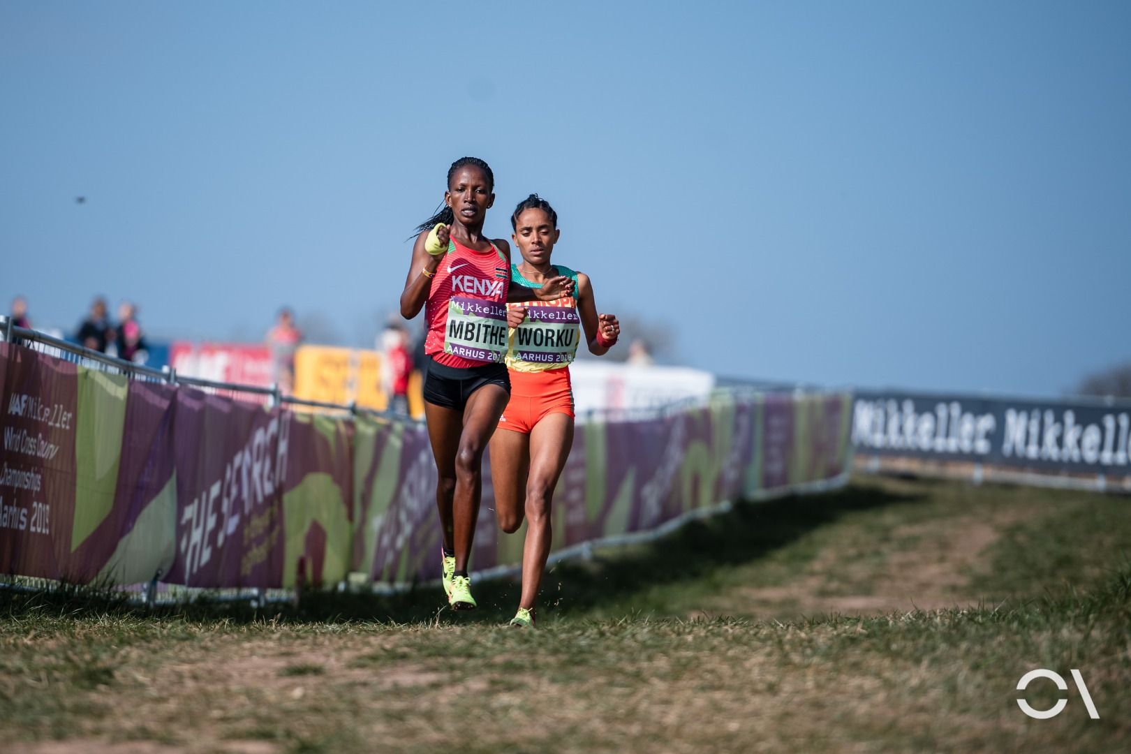 Campeonato del Mundo de Cross Aarhus 2019 (RELEVO MIXTO Y SUB 20)