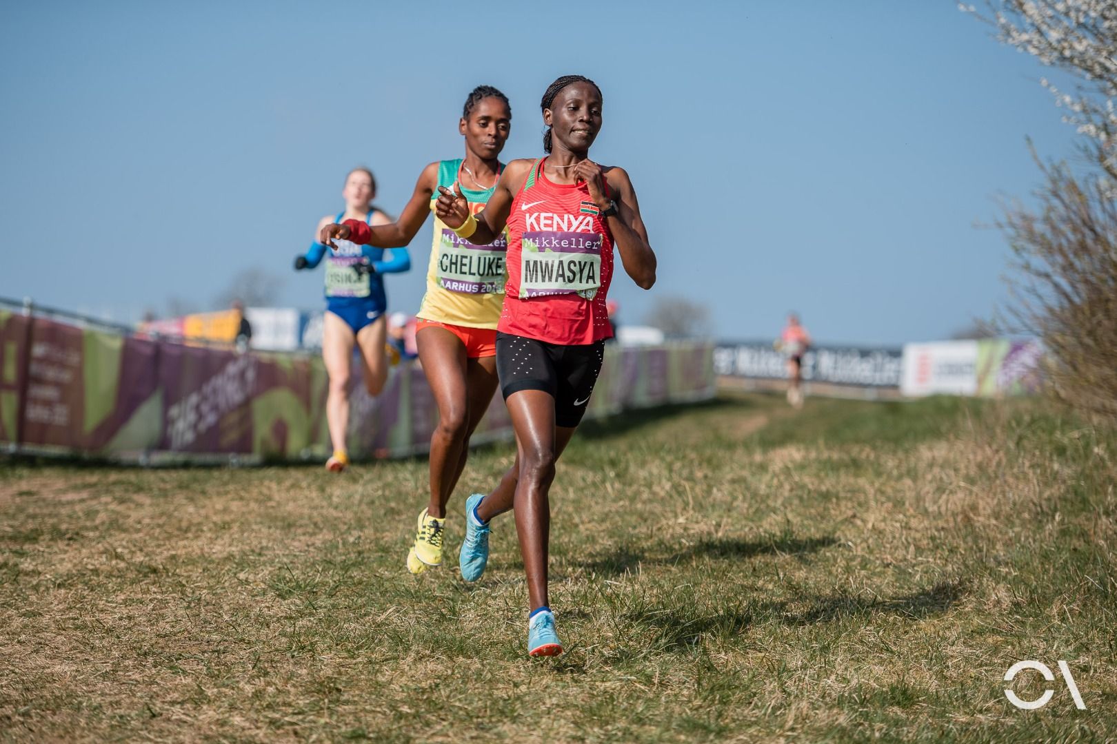 Campeonato del Mundo de Cross Aarhus 2019 (RELEVO MIXTO Y SUB 20)