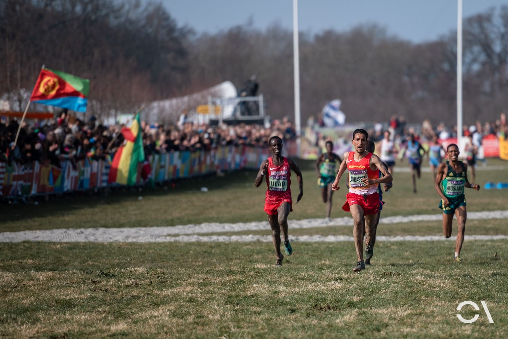 Campeonato del Mundo de Cross Aarhus 2019 (CARRERAS SENIOR)