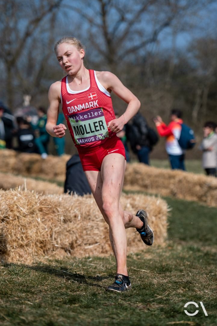 Campeonato del Mundo de Cross Aarhus 2019 (CARRERAS SENIOR)