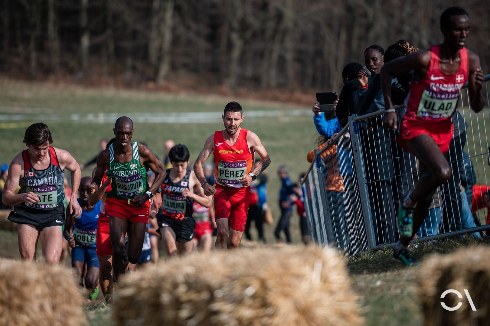 Campeonato del Mundo de Cross Aarhus 2019 (CARRERAS SENIOR)