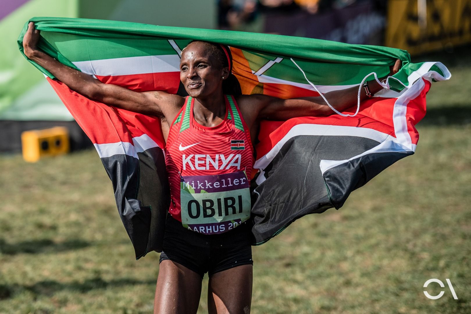 Campeonato del Mundo de Cross Aarhus 2019 (CARRERAS SENIOR)
