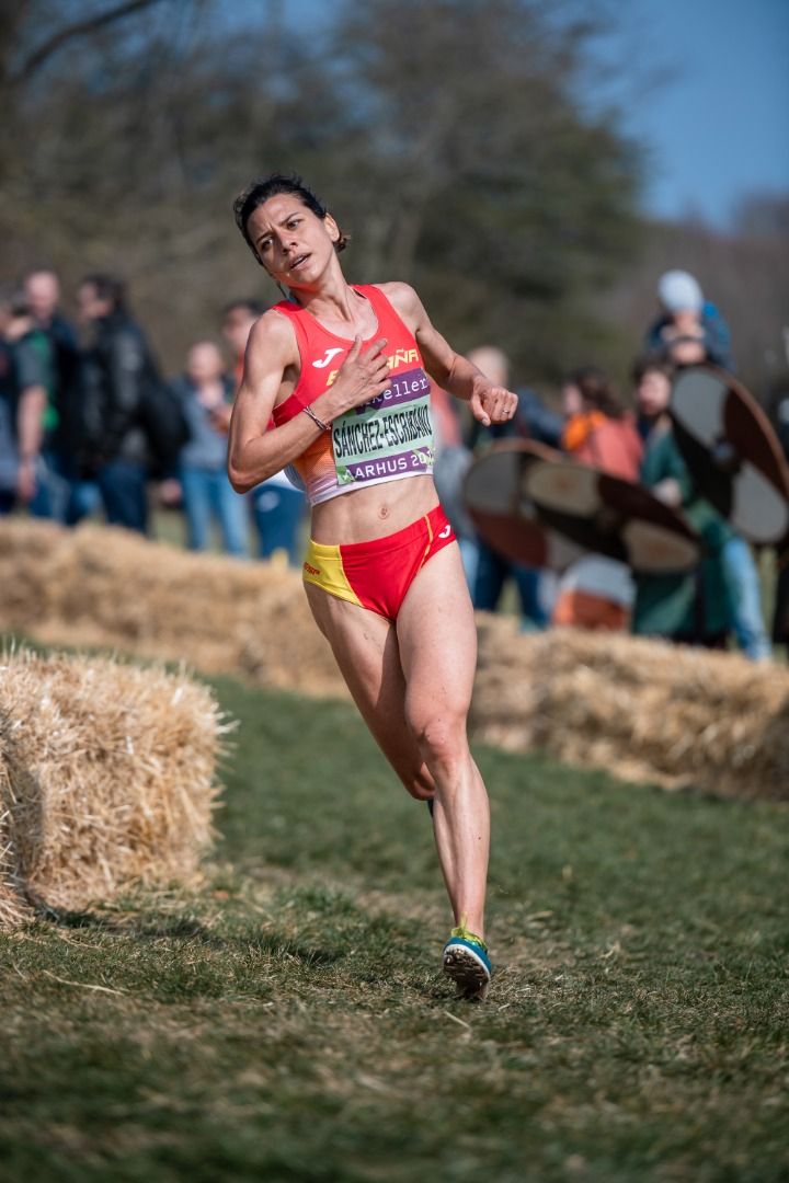 Campeonato del Mundo de Cross Aarhus 2019 (CARRERAS SENIOR)