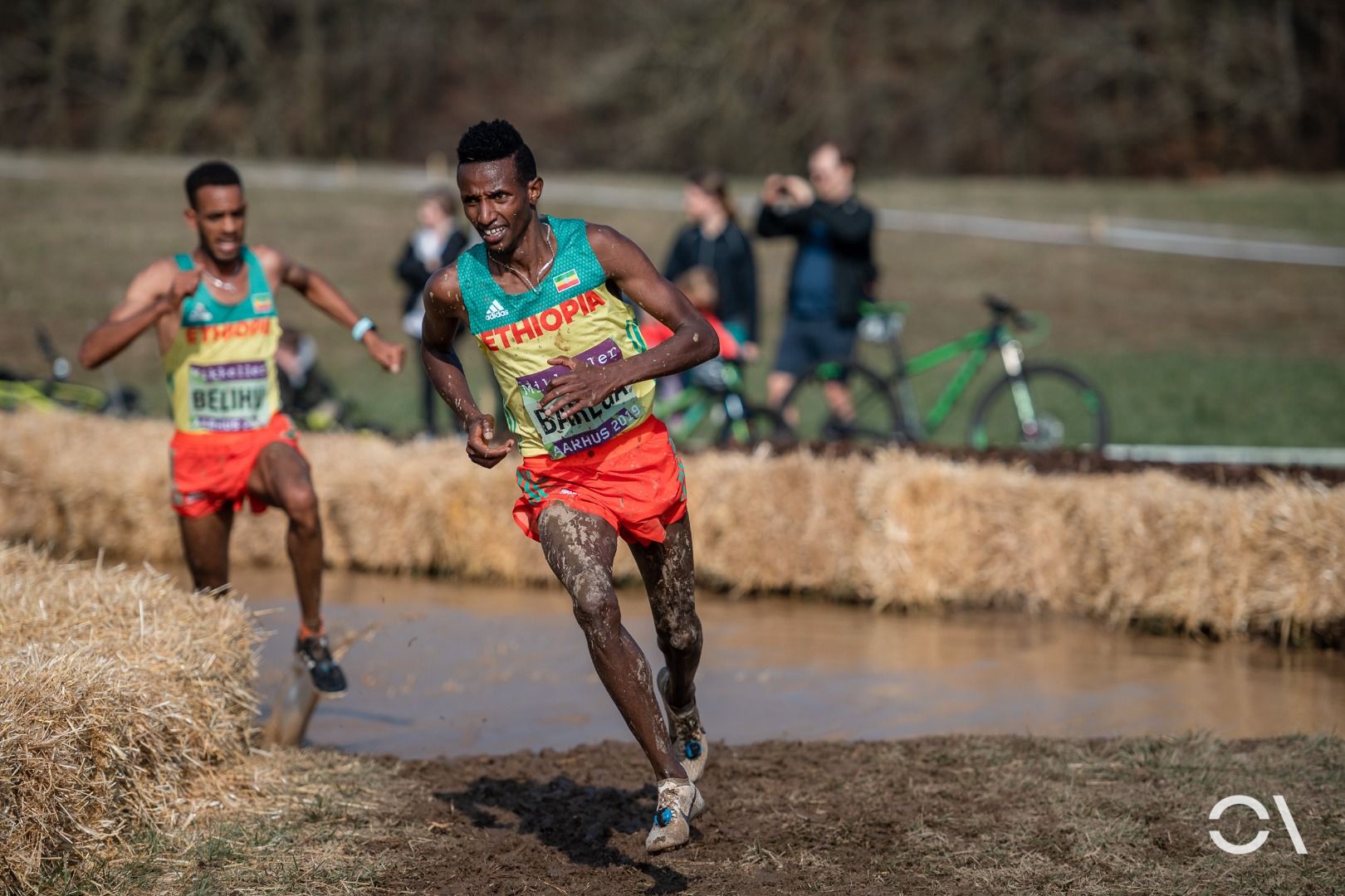 Campeonato del Mundo de Cross Aarhus 2019 (CARRERAS SENIOR)