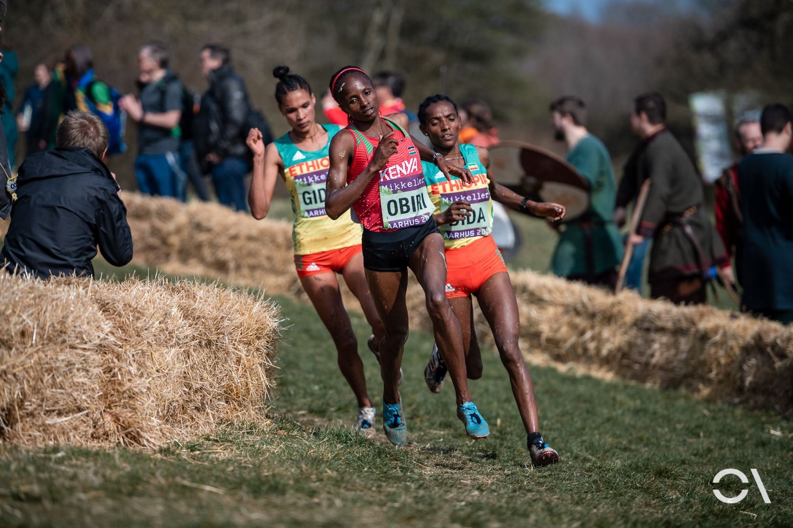 Campeonato del Mundo de Cross Aarhus 2019 (CARRERAS SENIOR)