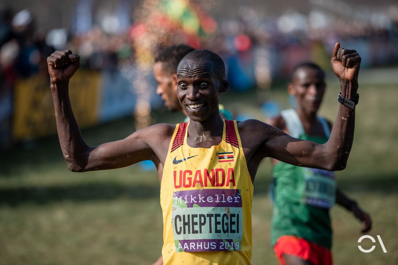 Campeonato del Mundo de Cross Aarhus 2019 (CARRERAS SENIOR)