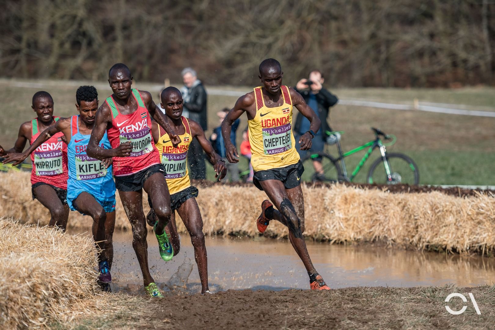 Campeonato del Mundo de Cross Aarhus 2019 (CARRERAS SENIOR)