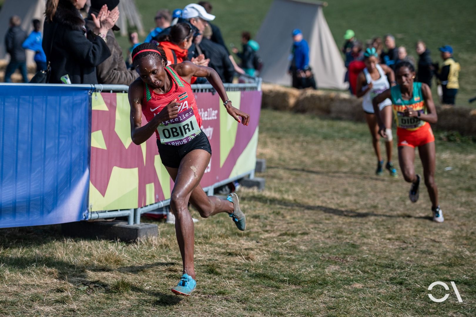 Campeonato del Mundo de Cross Aarhus 2019 (CARRERAS SENIOR)