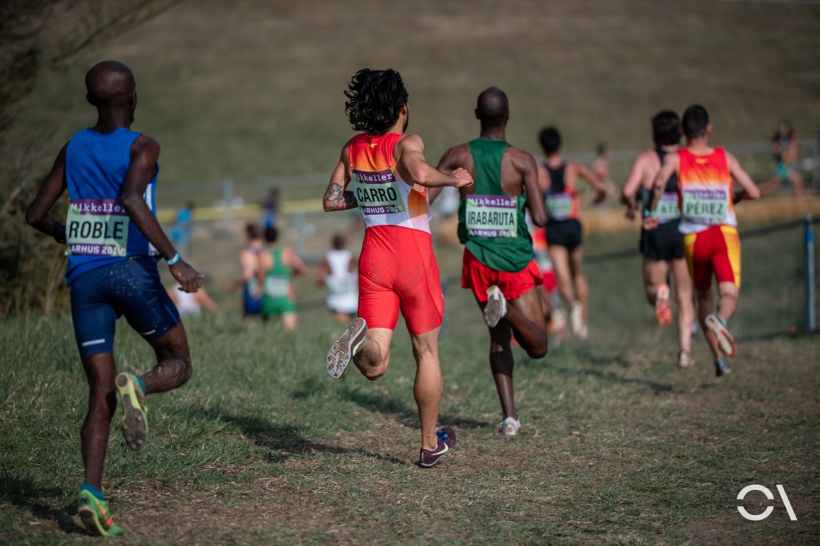 Campeonato del Mundo de Cross Aarhus 2019 (CARRERAS SENIOR)