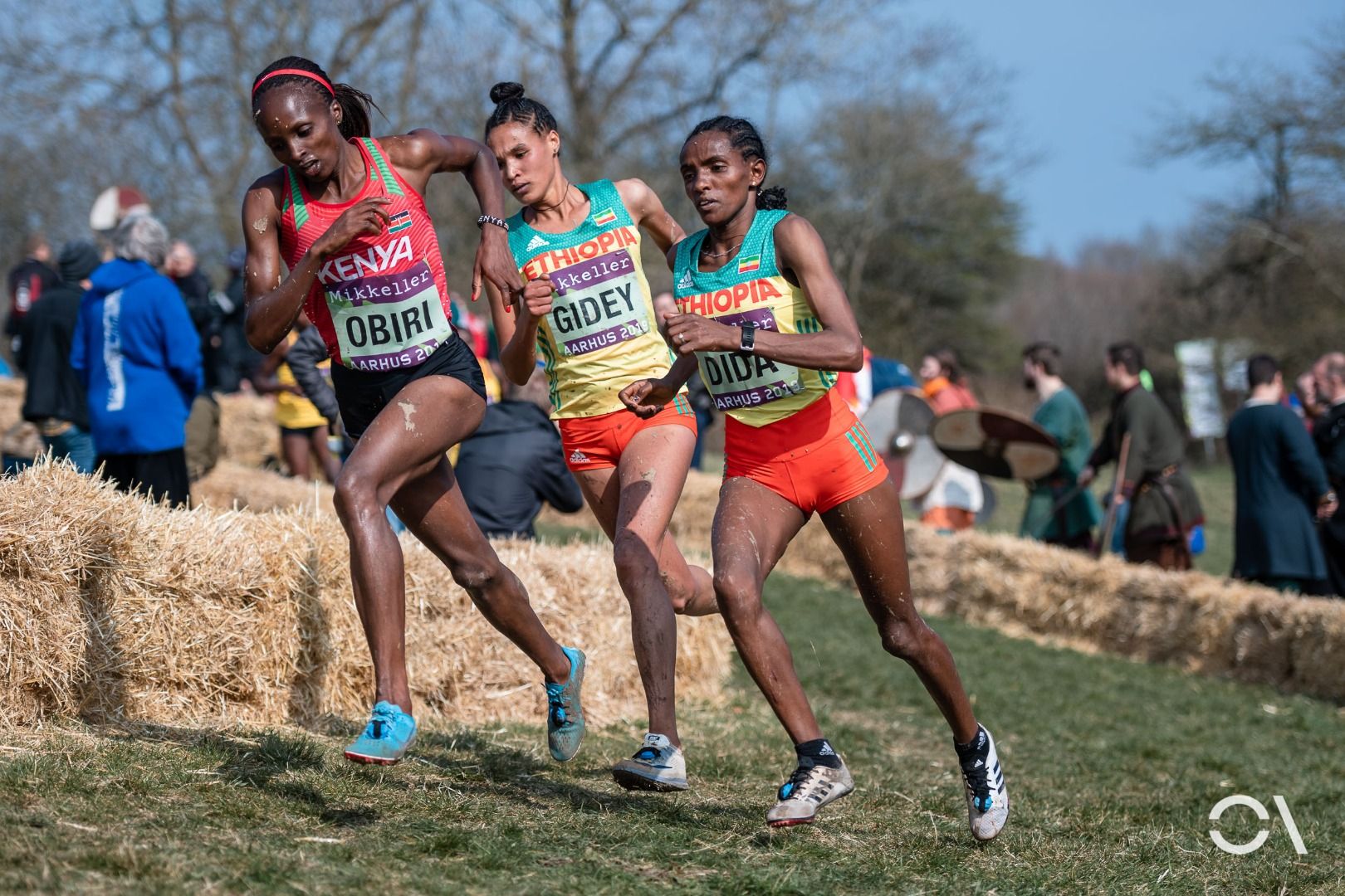 Campeonato del Mundo de Cross Aarhus 2019 (CARRERAS SENIOR)