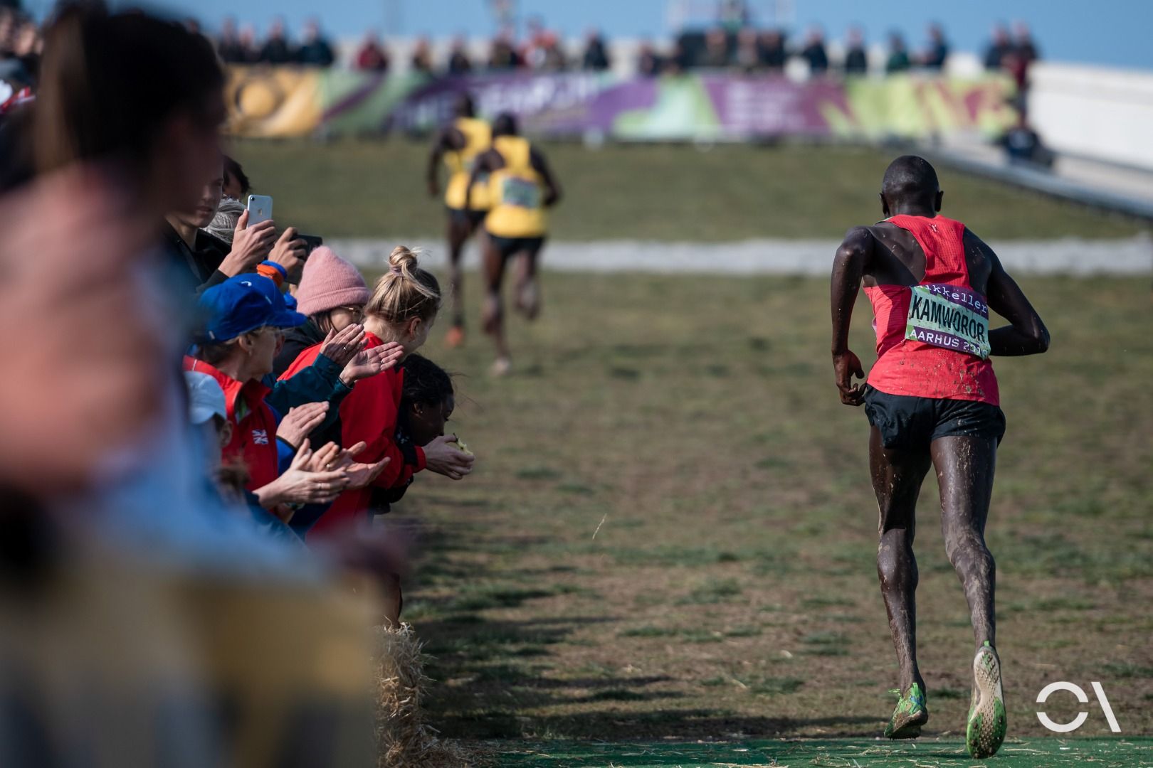 Campeonato del Mundo de Cross Aarhus 2019 (CARRERAS SENIOR)