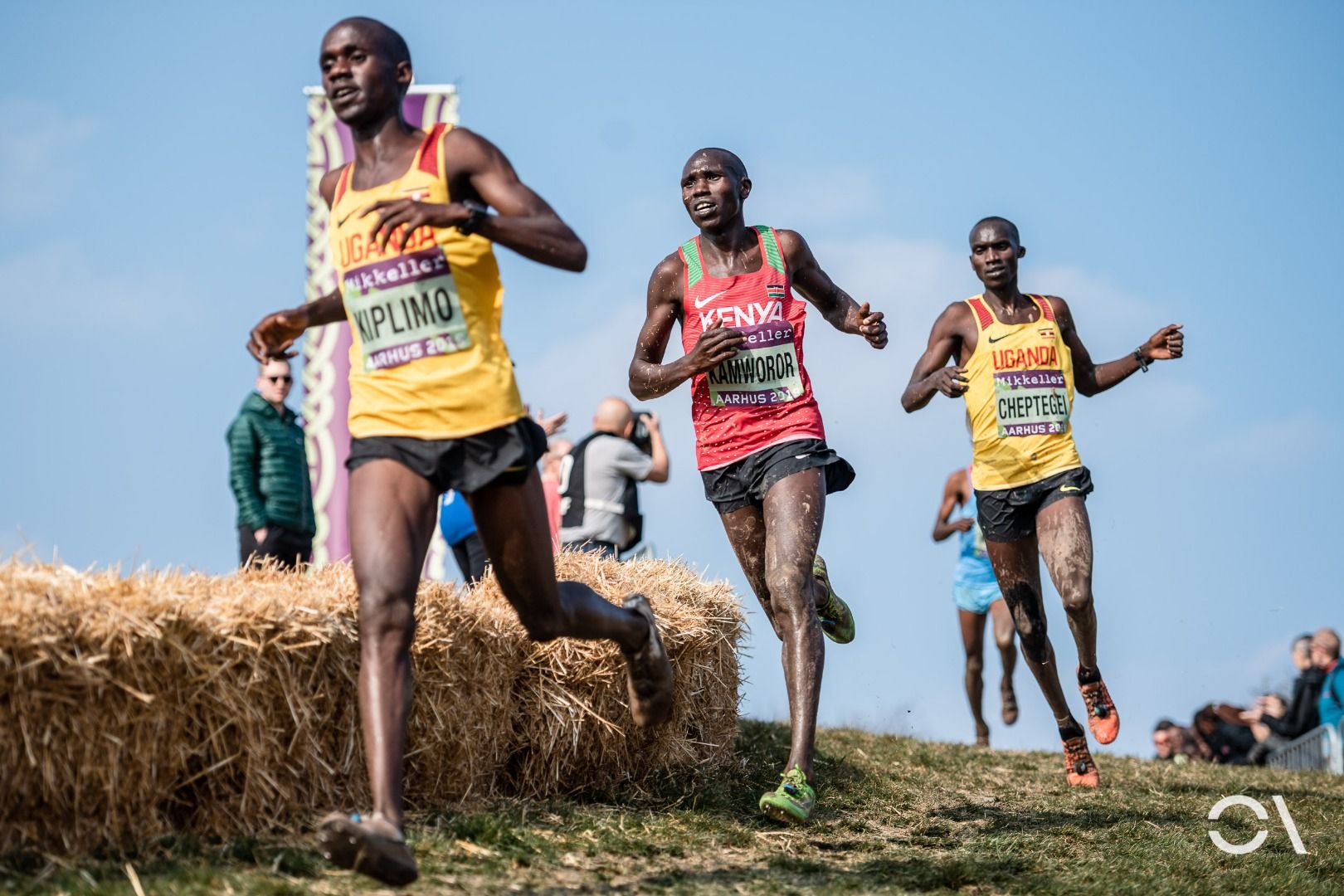 Campeonato del Mundo de Cross Aarhus 2019 (CARRERAS SENIOR)