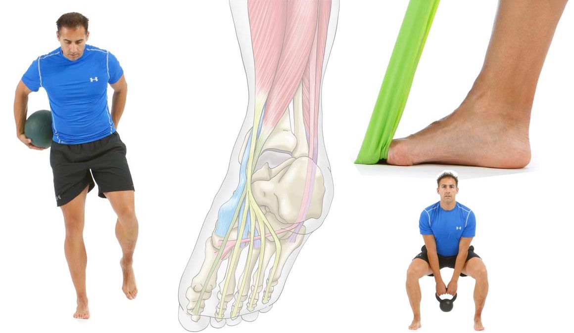 El arco plantar estable y reactivo
