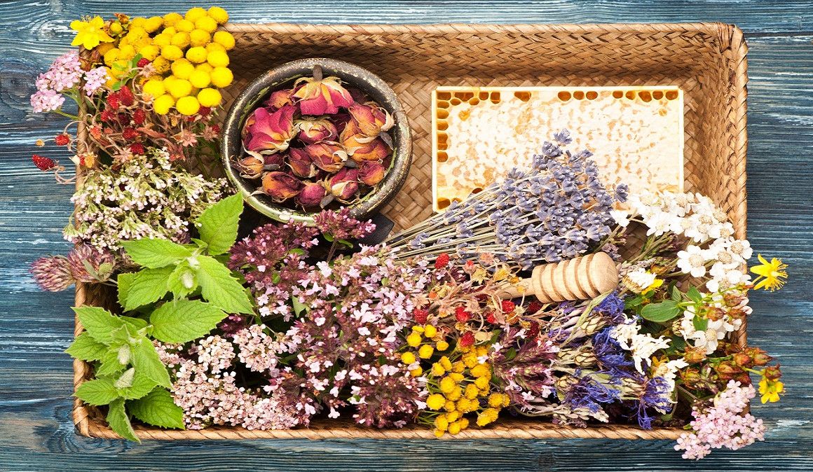 La fitoterapia hace uso de las propiedades medicinales de las plantas