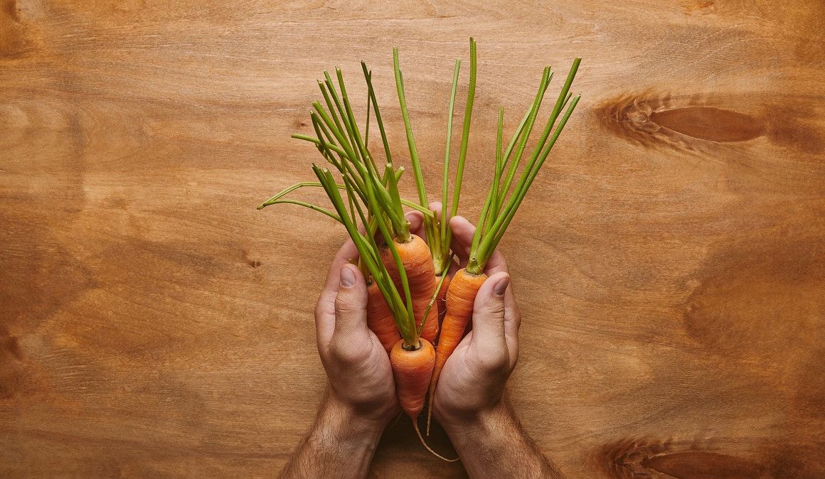 Las zanahorias aceleran el bronceado, entre otras funciones