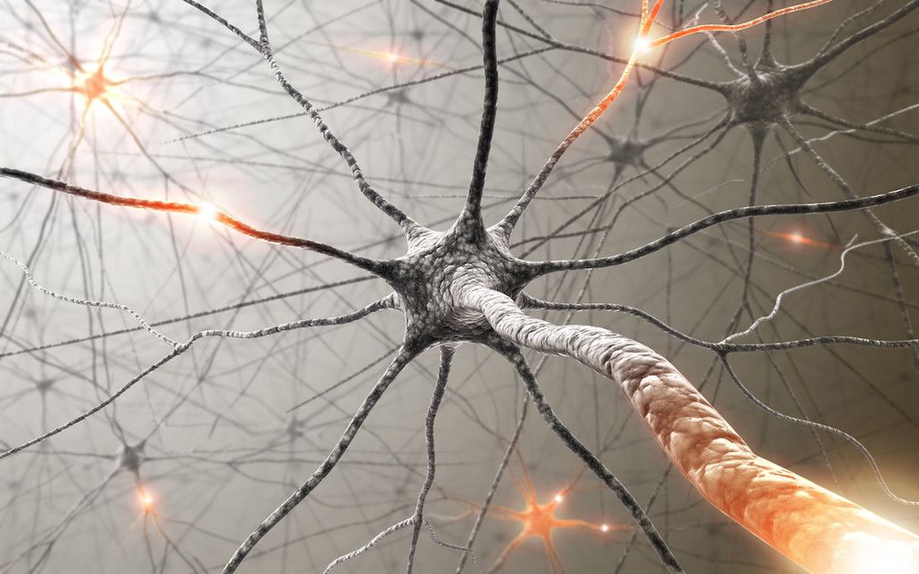Conoce una nueva forma de recuperar lesiones: la Neuromodulación Funcional.