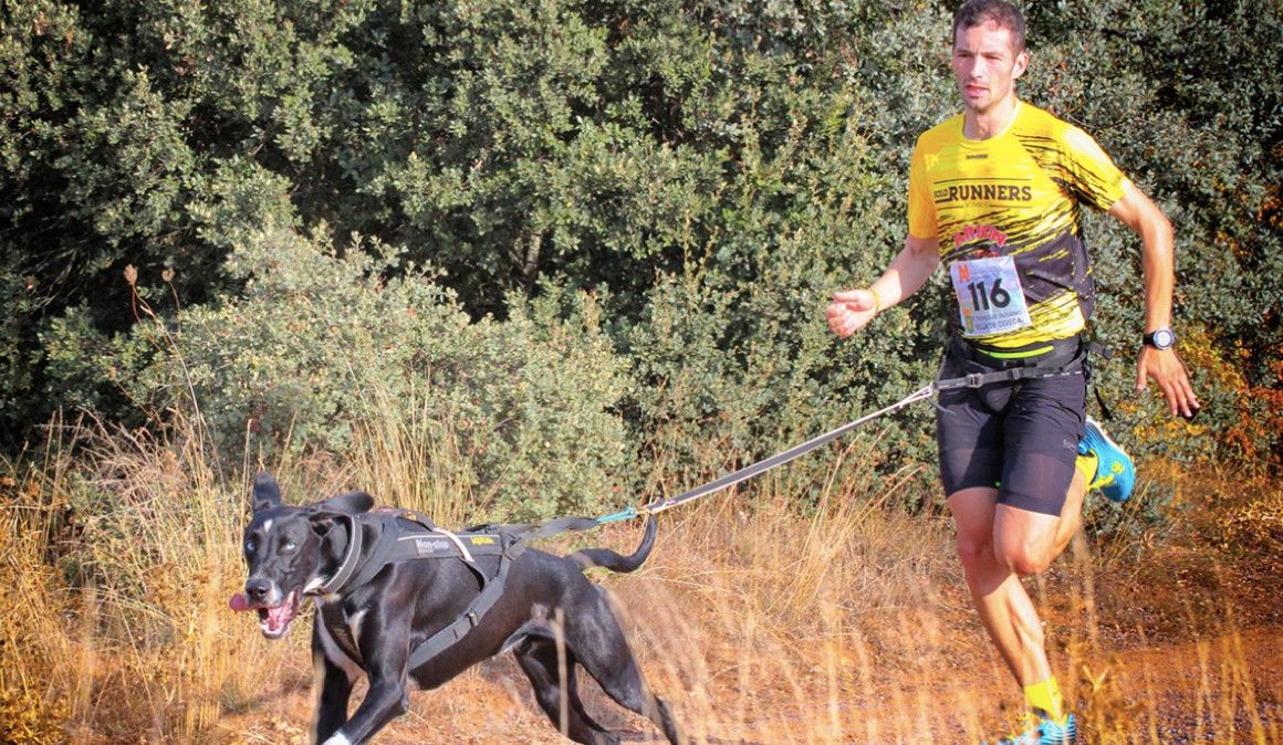 Rodrigo Alonso durante una competición de canicross | Burgos Deporte